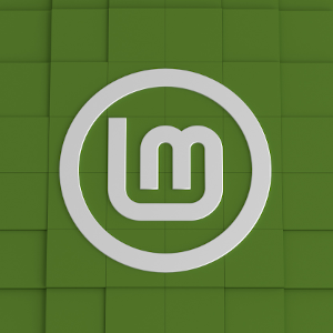Mover, organizar los iconos del escritorio en Linux Mint