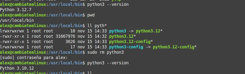 Version Python 3.10 anterior