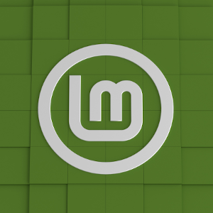 Actualización de Linux Mint 21.3 a Linux Mint 22