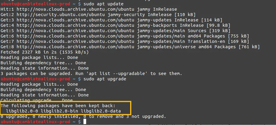 Paquetes retenidos en Ubuntu al hacer el upgrade