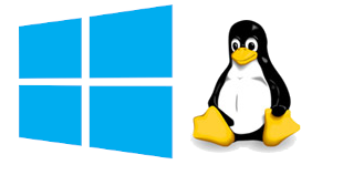 Error al arrancar Linux con Windows en Dual Boot