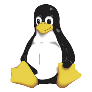 Diferentes formas en linux de listar directorios con ls desde el terminal