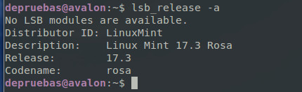 Linux mint 17.3 actualizado